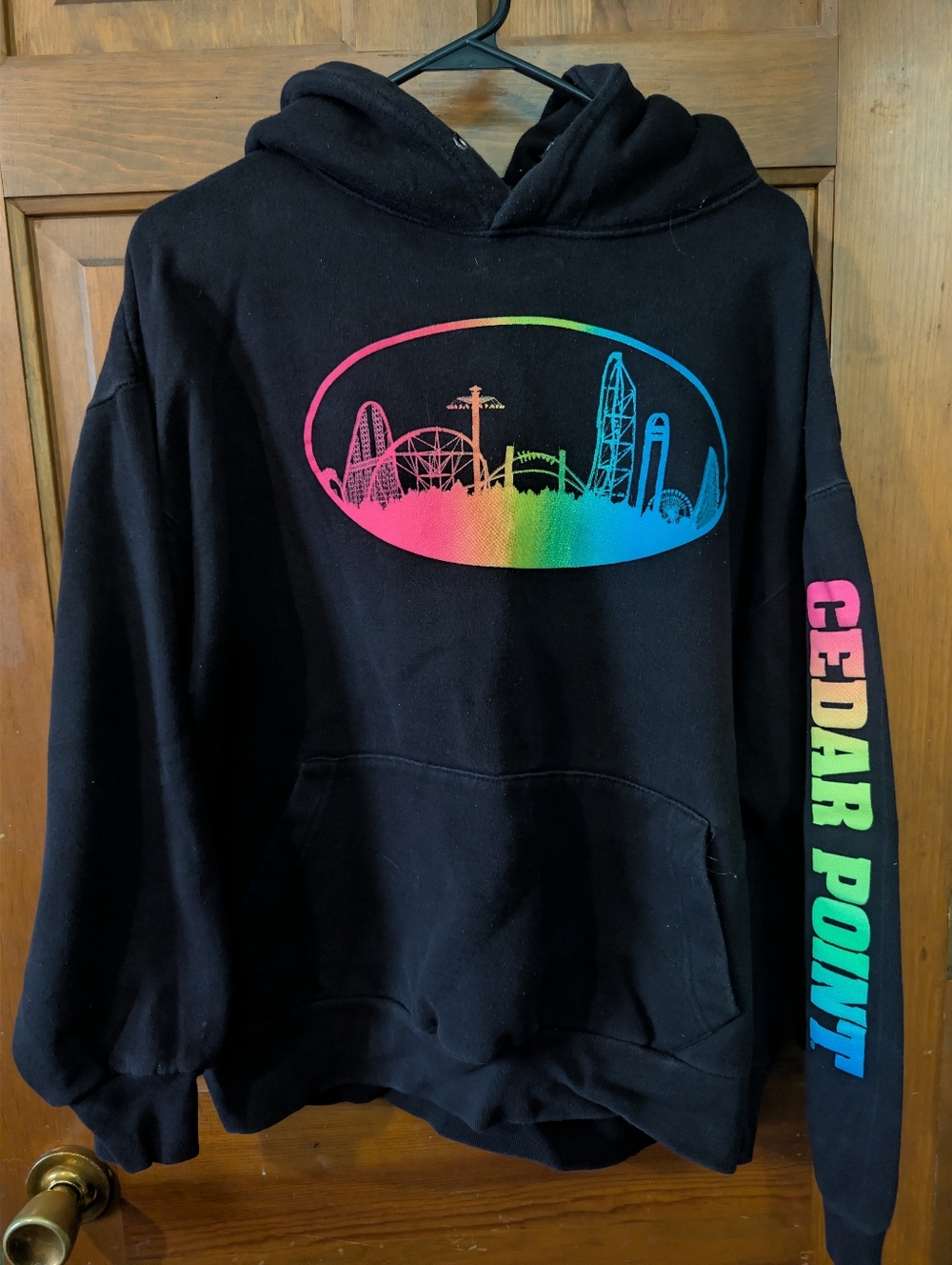 cedar point hoodie medium